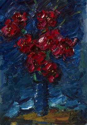 Amaryllis